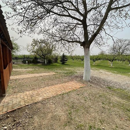 Salas Isailovi Sremska Mitrovica Buitenkant foto